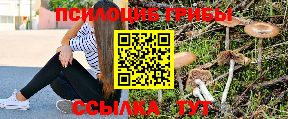 Псилоцибиновые грибы Magic Shrooms Благовещенск