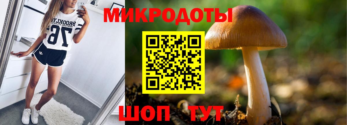 Галлюциногенные грибы Psilocybine cubensis  купить наркоту  Благовещенск  Галлюциногенные грибы Magic Shrooms  Вход с VPN 